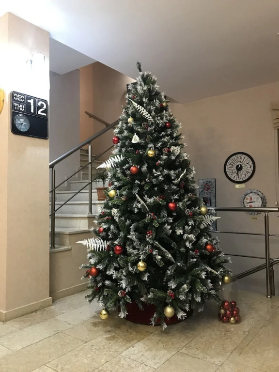 Отель Grand Hotel Luna