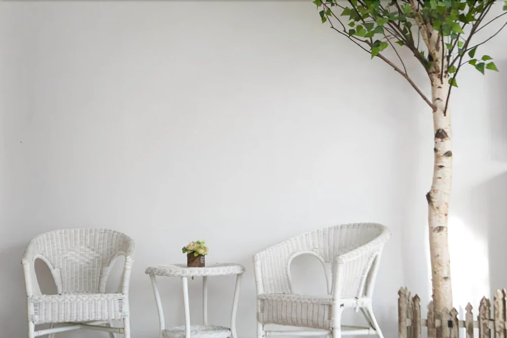 Yangpyeongwhite Tree Pension