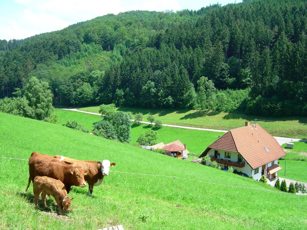A four person holiday home in a delightful, quiet area.