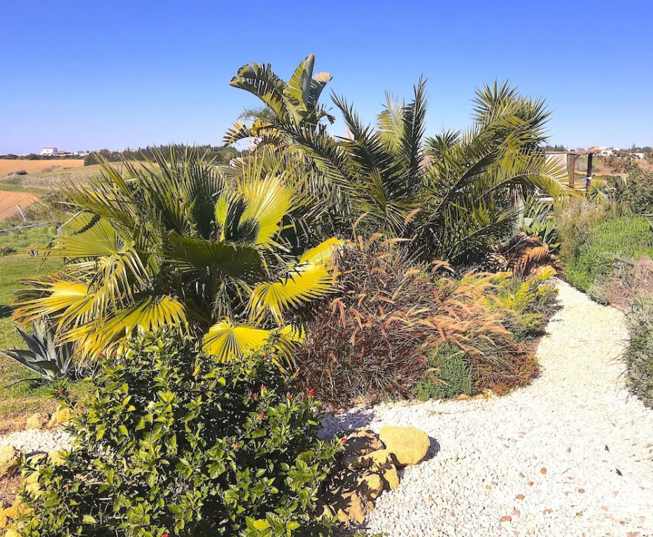 Finca Andalucia