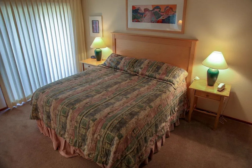 Snowcreek V 933 Bright and Spacious, Private BBQ, Washer Dryer, Pet-Friendly by RedAwning