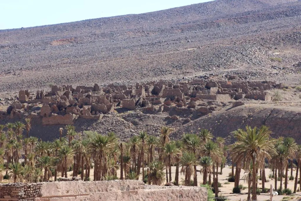 Riad Hiba