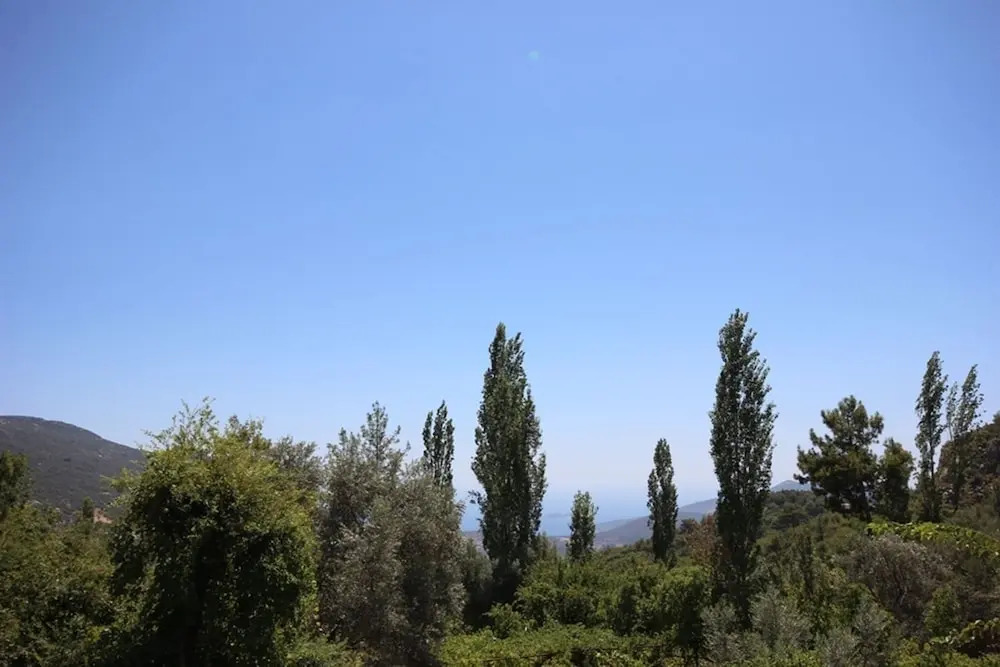 Villa Heves