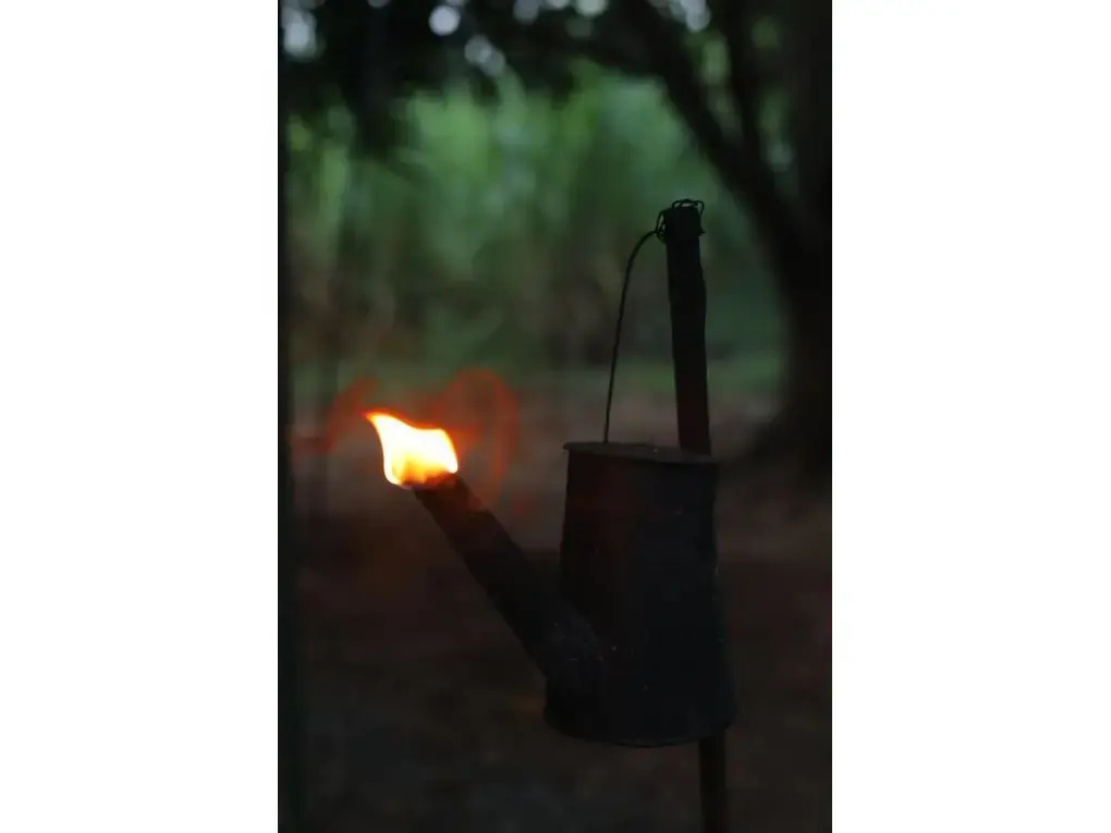 Camp Hasthi