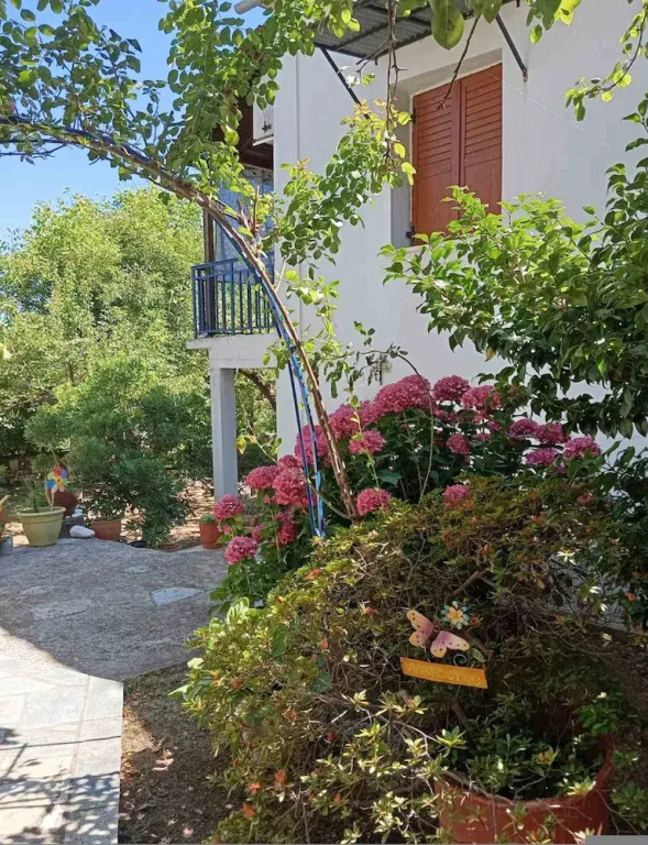 Grandpa s Ouse in Tsagkarada