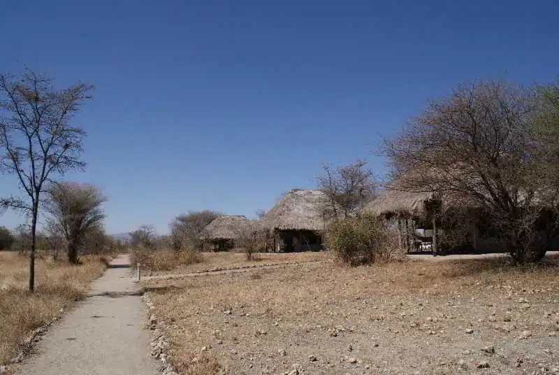 Whistling Thorn Tented Camp