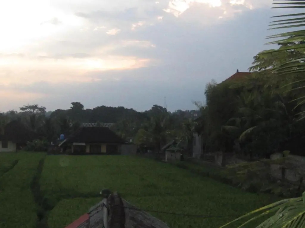 Purnama di Bisma