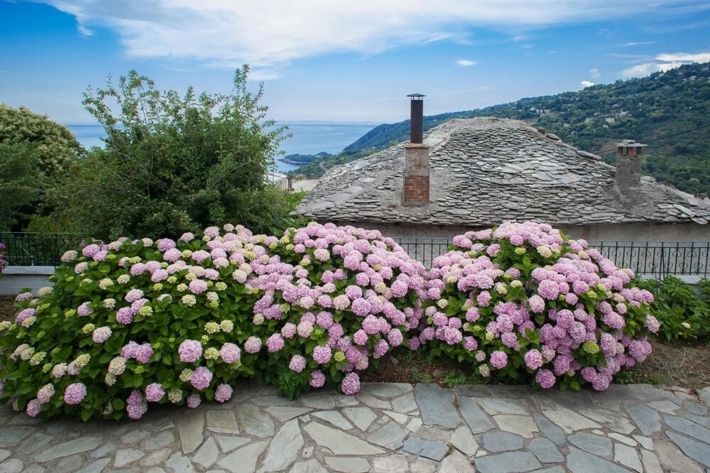 Villa Zina Studio 3 Pelion