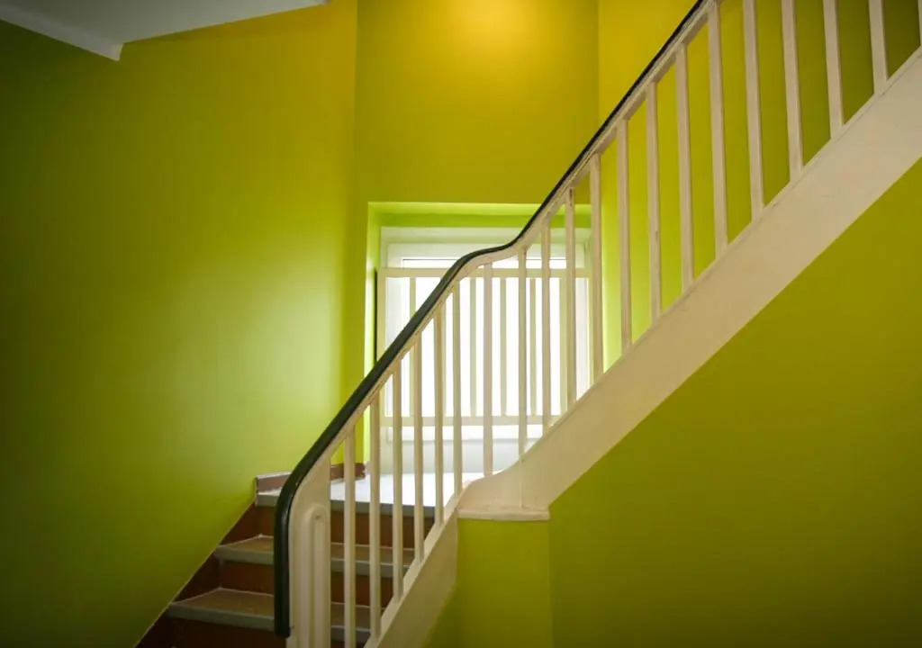 Ringeltaube - Wohnen wie zu Hause