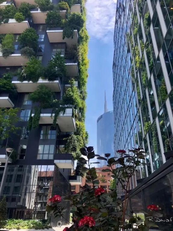 Nice Apartment With Balcony