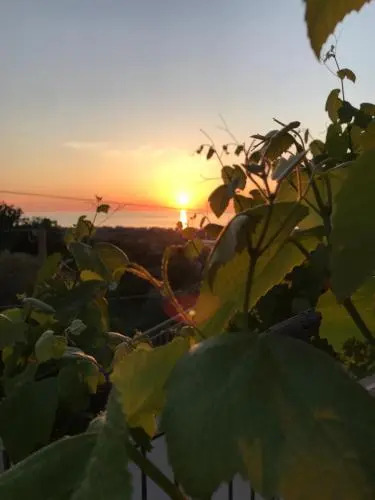 B&B Il Tramonto