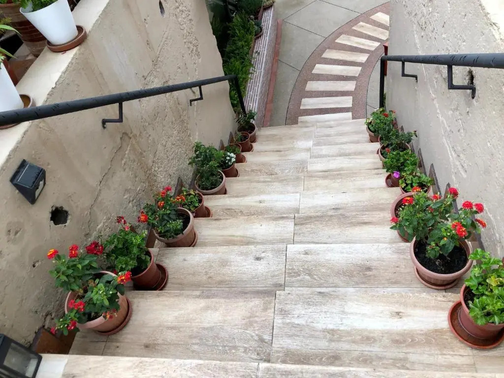 Hostel Quito Terrace