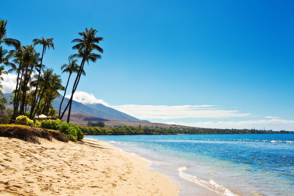 1br W/ Pools, Steps To Kamaole Beach 3 1 Bedroom Condo