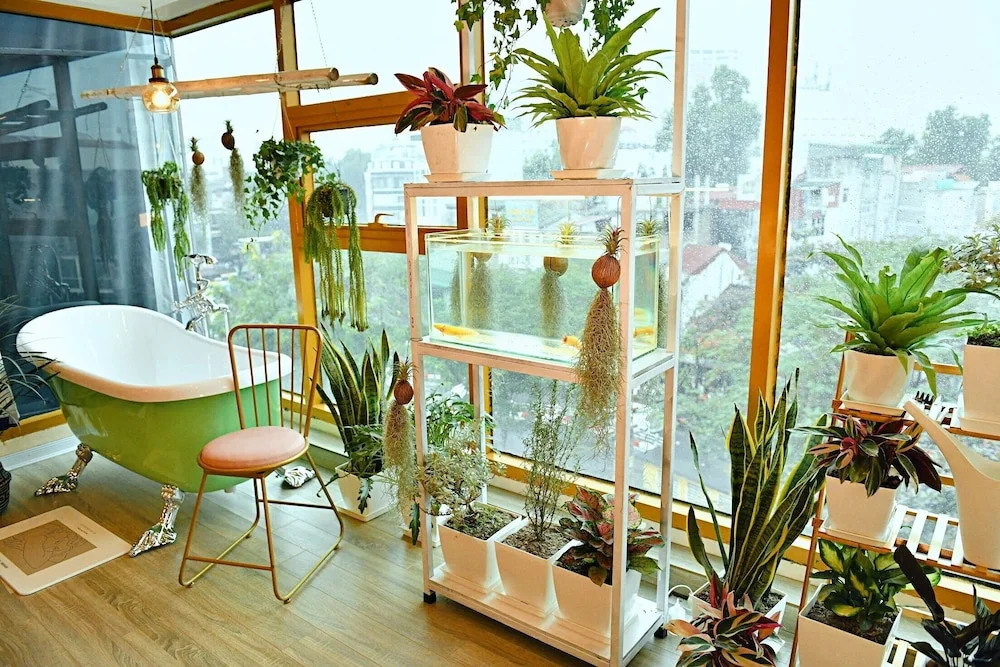 Langmandi luxury apartment