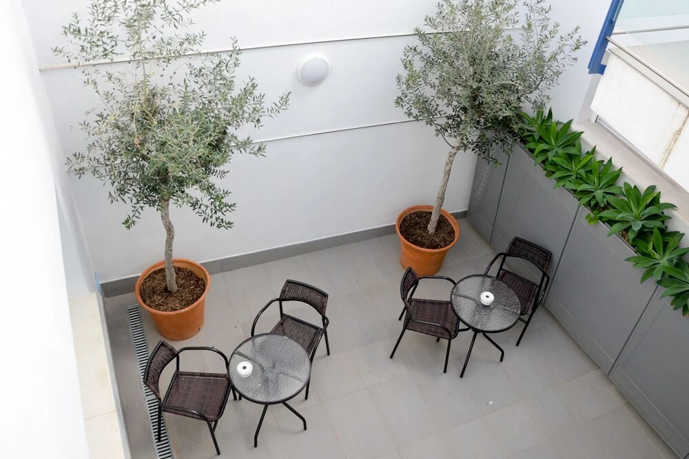Apartamentos Dos Olivos