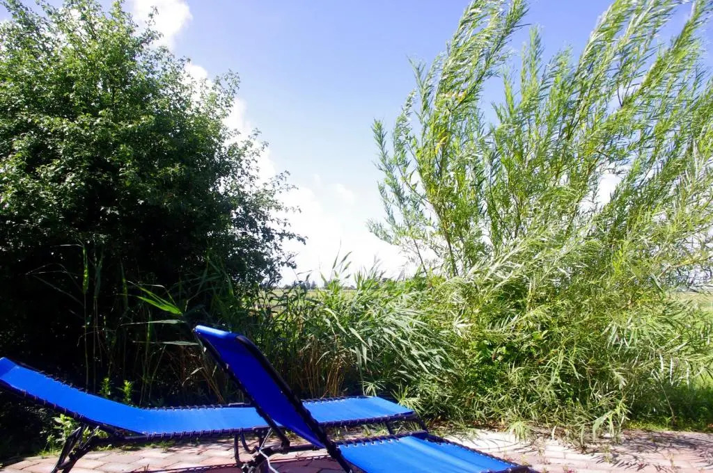 Wiesenblick