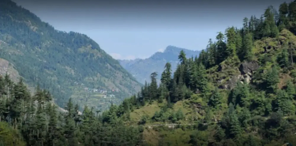 Wilderness Home Jibhi