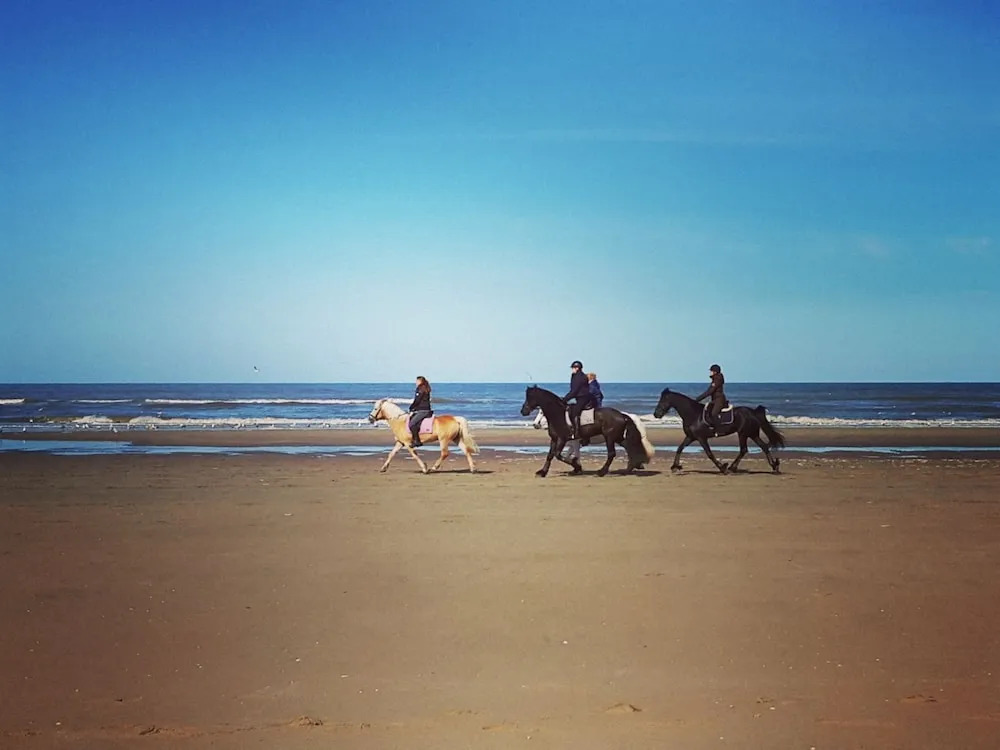 Comfy Holiday Home in Noordwijkerhout near Beach