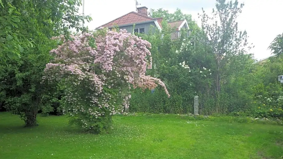 Bergsvägen Bed & Breakfast