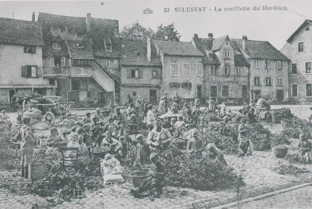 Au Bon vieux Port