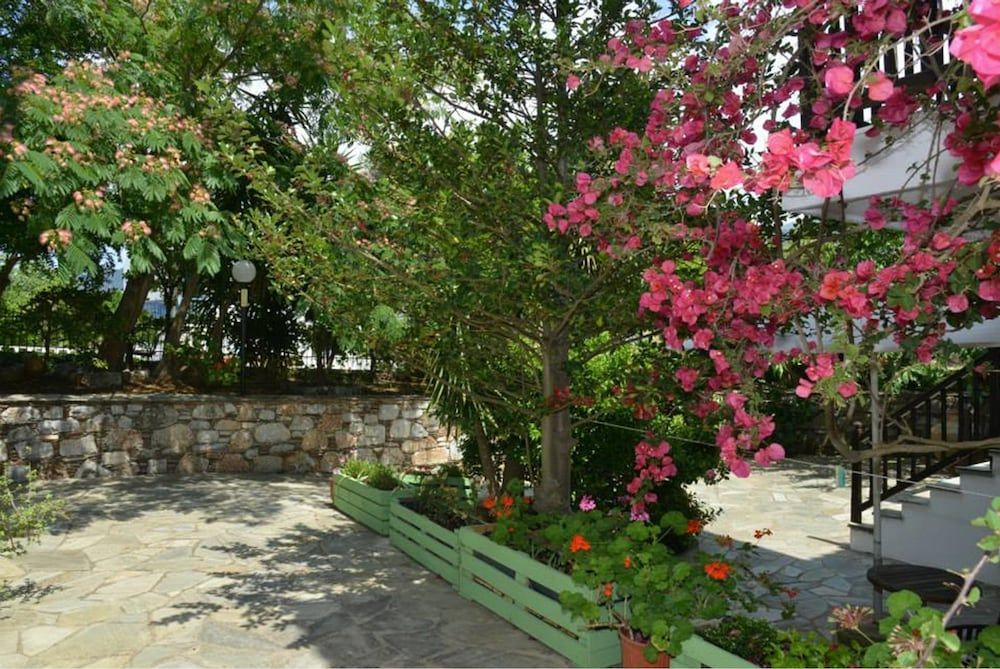 Anofli Suites