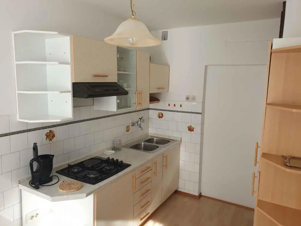 Apartment in Postojna 40258