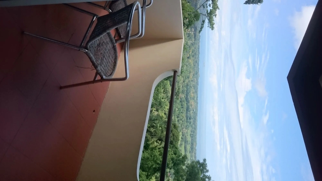 Vista Ballena