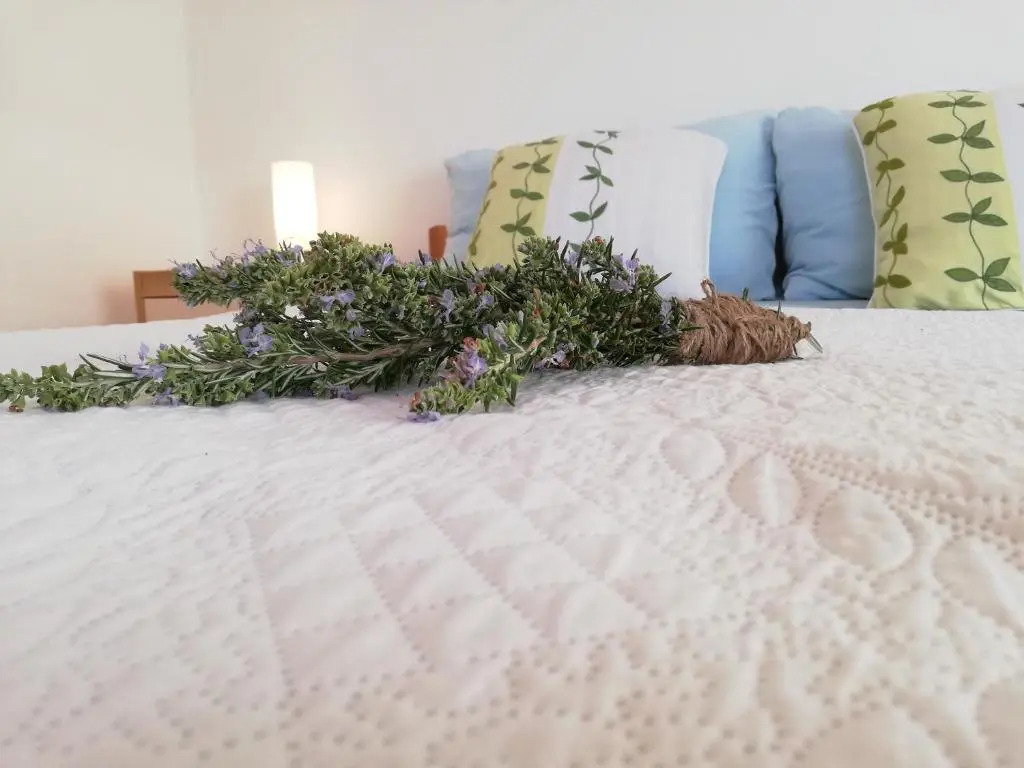 Apartments Antica near the Queen Beach in Nin - By TA Leut Agency