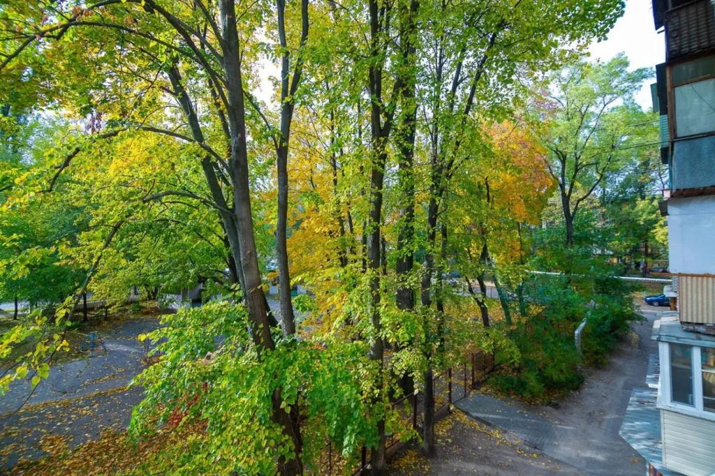 Apartments in the park area of the Dnipro