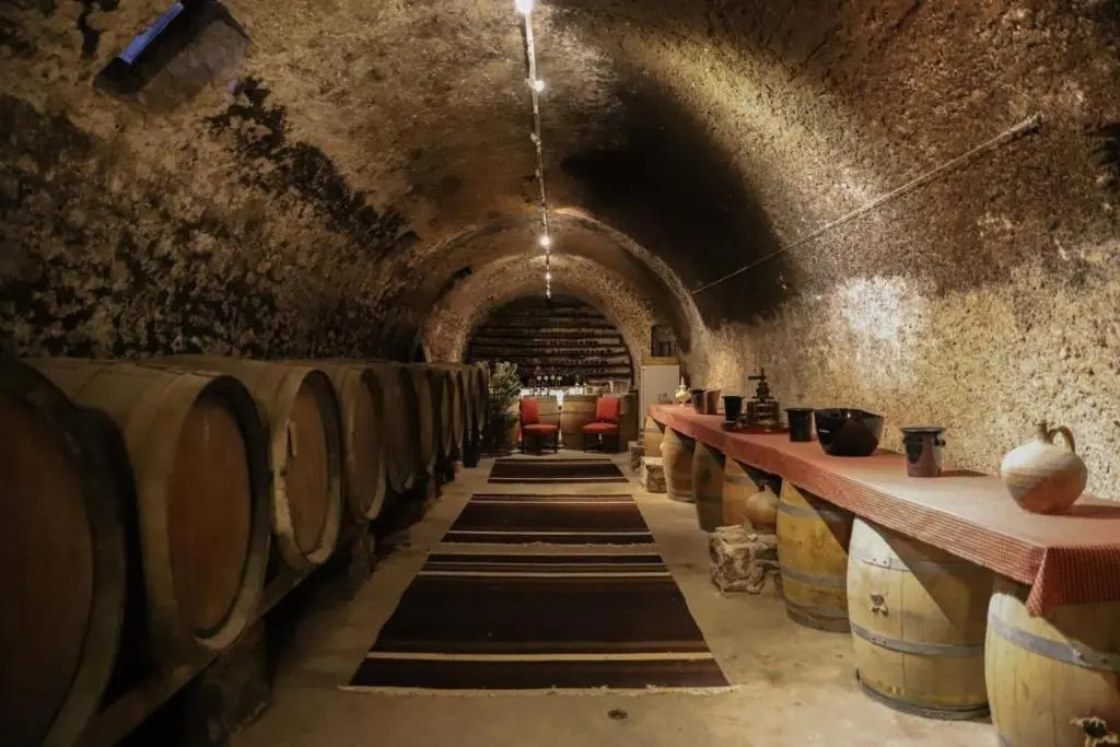 Chateau Dagel Exclusive rental 11 people