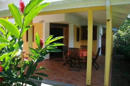 Les Cycas