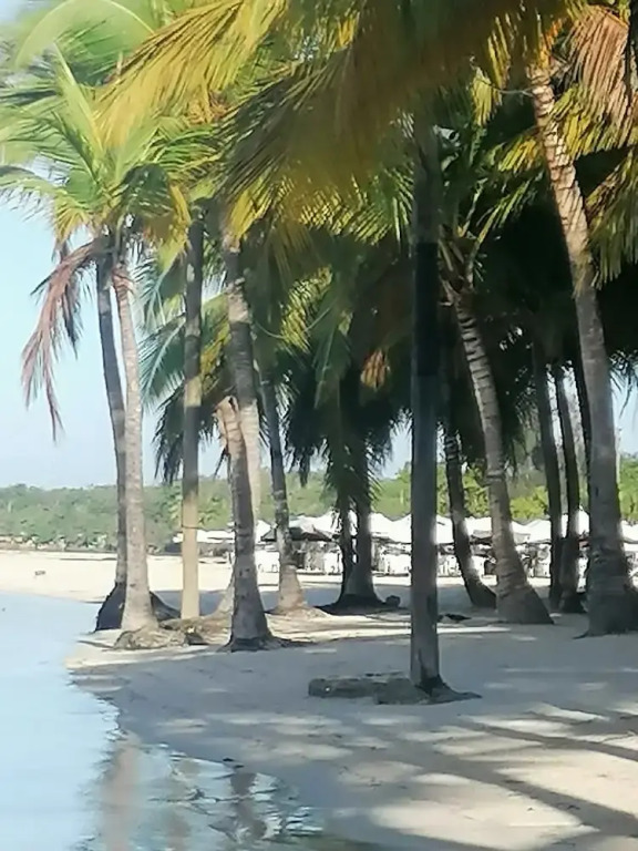 Room in Guest Room - Apartment Monocal in Boca Chica