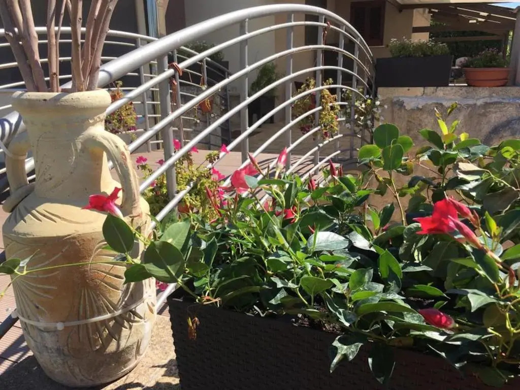 Giardini di Marzo Lecce B&B
