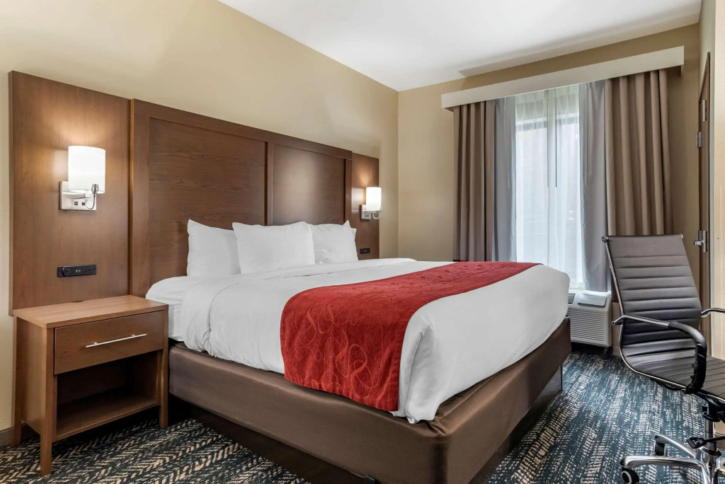 Comfort Inn & Suites Downtown near University
