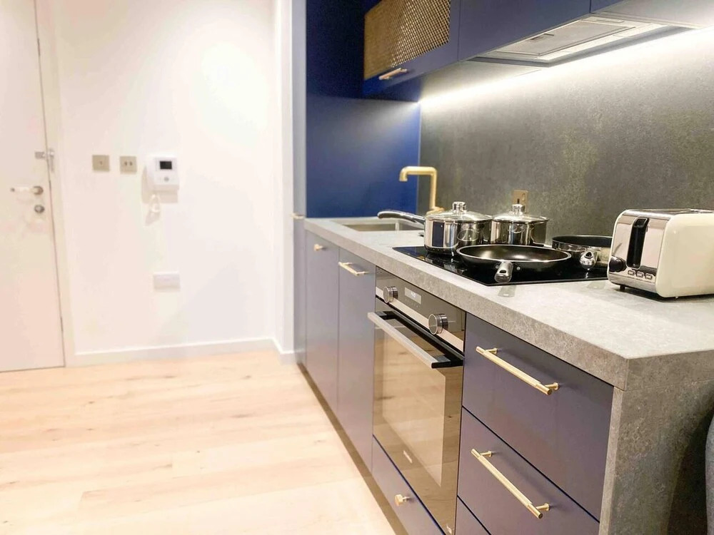 Luxury Apartment Minutes From Canning Town