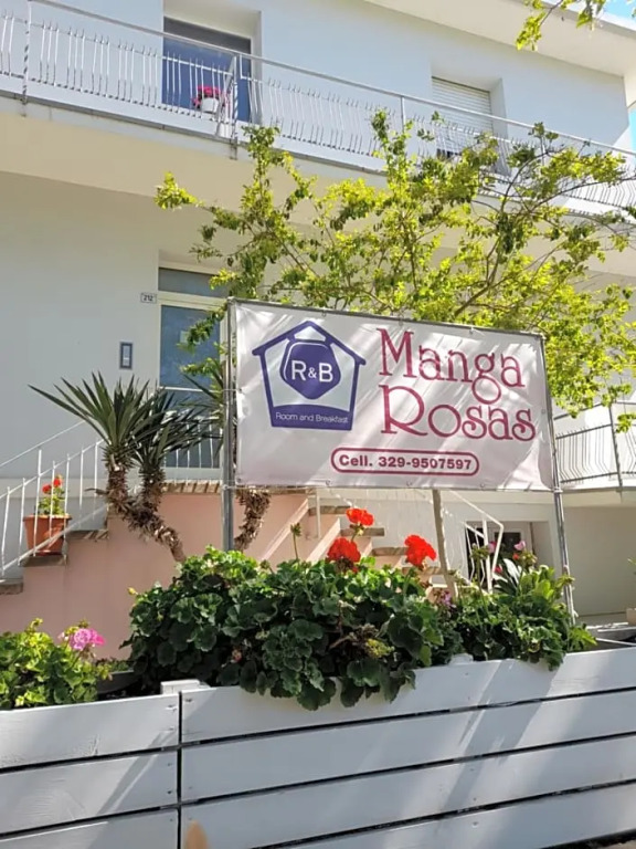 R&B Manga Rosas