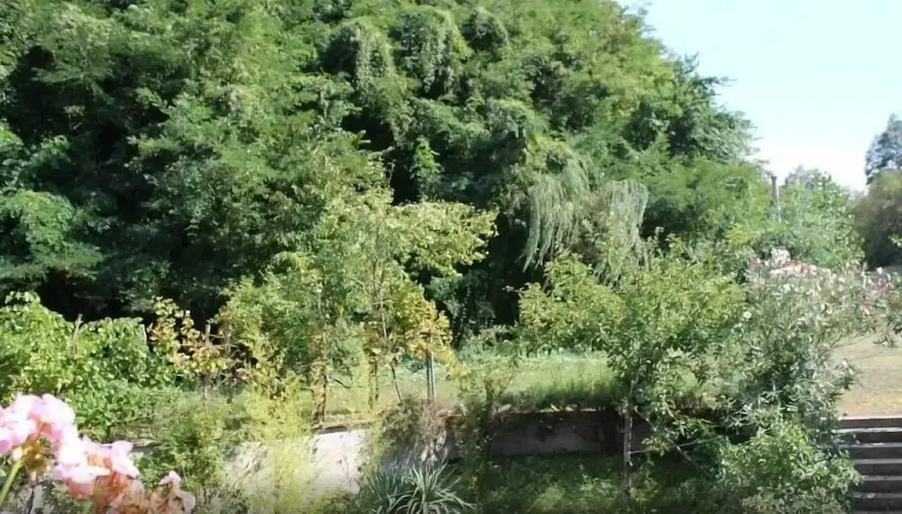 La Casina Rossa