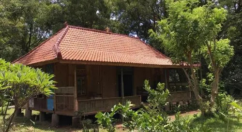 Dune Alaya Yoga Hotel