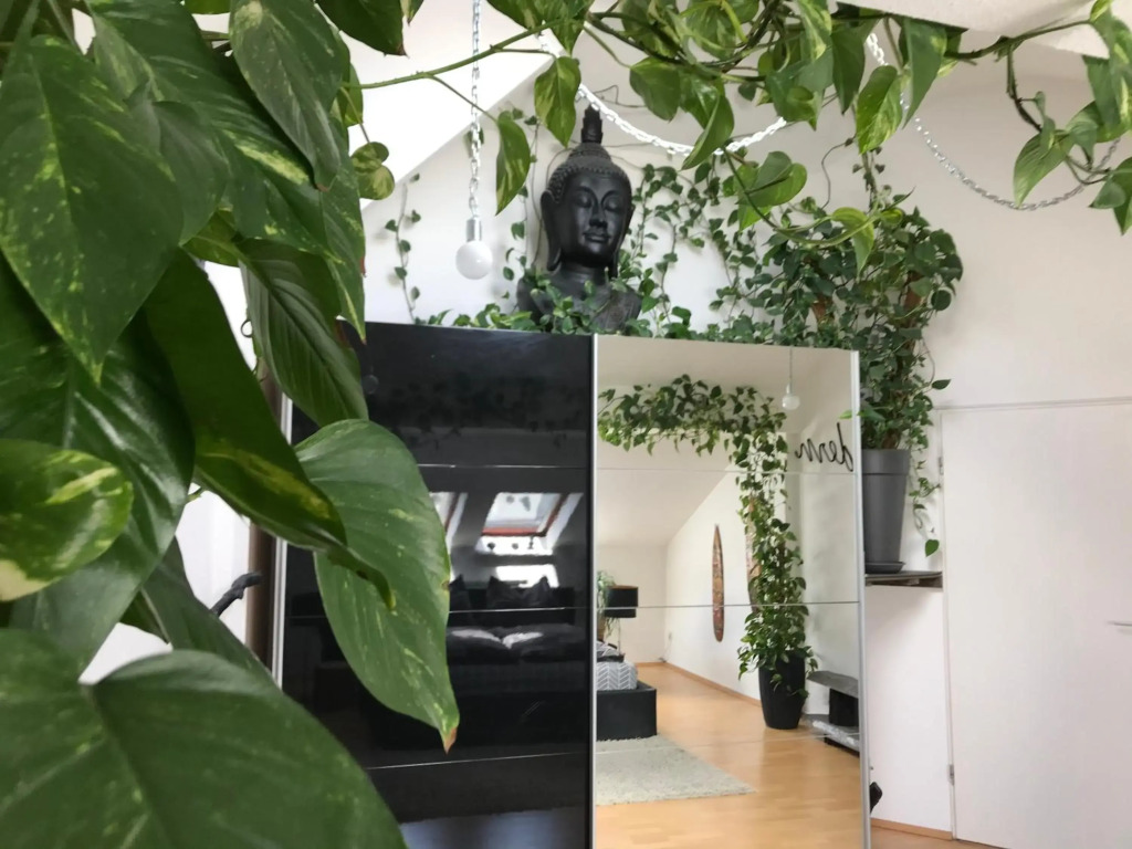 Stadtdschungel FeWo mit Balkon