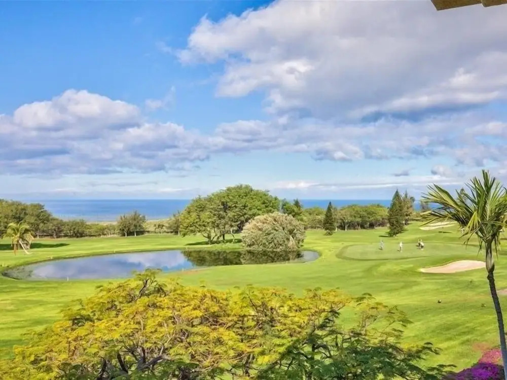 Waikoloa Fairways C119