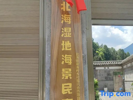 yunhaige