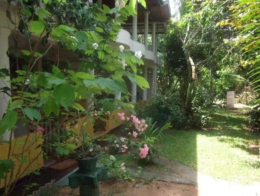 C-Lanka Family Guesthouse