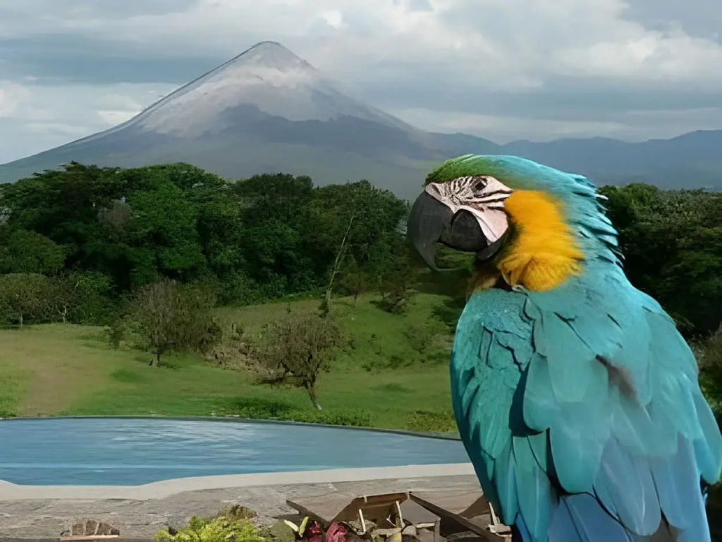 Hotel Arenal Lodge
