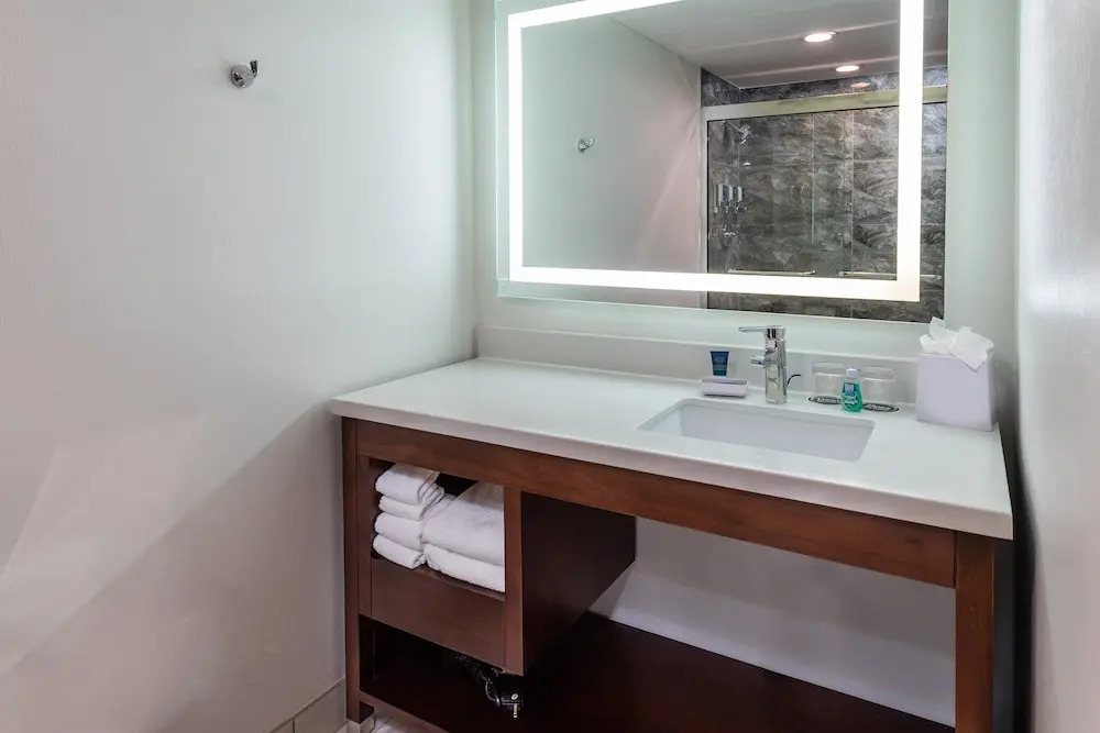 Comfort Inn & Suites Airport Camp Creek