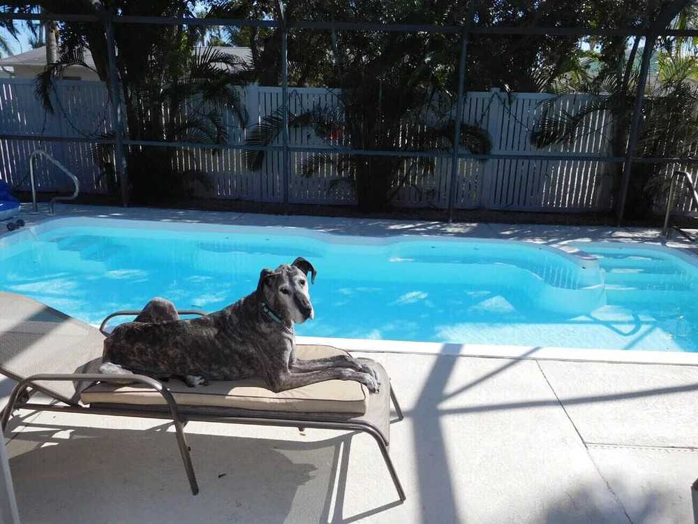 Aloha - Pet-friendly Fort Myers Beach Pool House