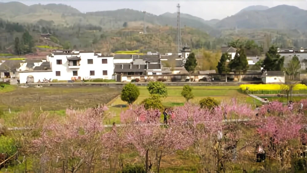 Xidi Travel Lodge