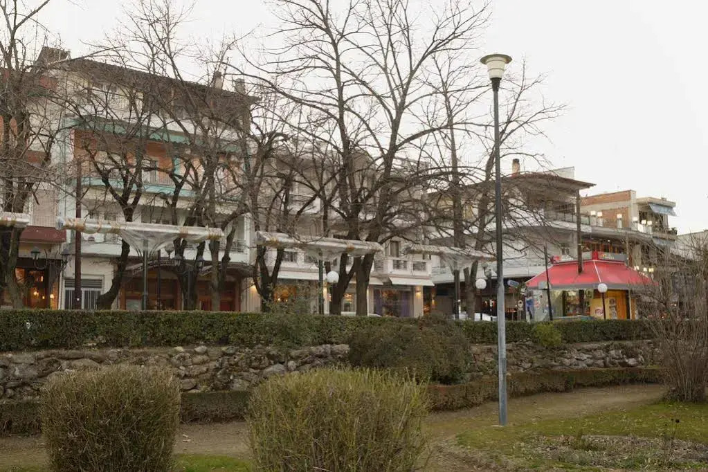 Dellagio Hotel