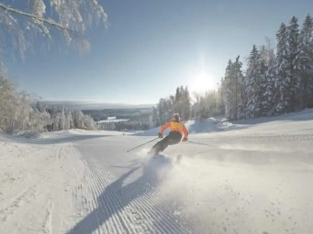 4 Star Holiday Home in Nissafors