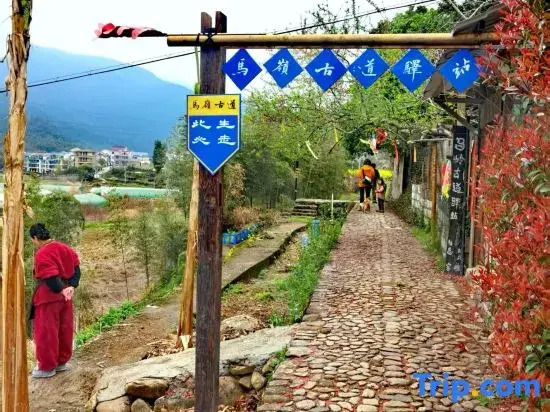 Tonglu Drunken Moon Xiangshe Homestay