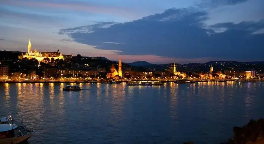 Castle and Danube Panorama
